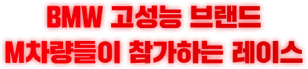 BMW 고성능 브랜드 M차량들이 참가하는 레이스